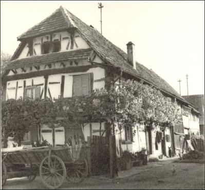 Hauptstraße 19 Historische Aufnahme Hauptstraße 19, altes Fachwerkhaus