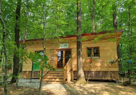 Waldkindergarten SpielWald Waldkindergarten SpielWald