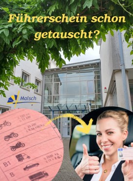 Führerschein jetzt tauschen! Haupteingang des Rathauses, darauf der Schriftzug "Führerschein schon getauscht?" sowie zwei Kreise: In einem Kreis der alte rosa Führerschein, im zweiten Kreis eine Frau, die einen neuen Kartenführerschein in der Hand hält und mit der anderen Hand einen Daumen nach oben zeigt